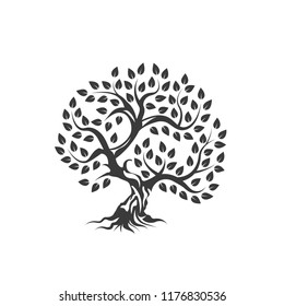 Organic natural and healthy olive tree silhouette logo isolated on white background. Modern vector green plant icon sign design artwork. Premium quality oil product logotype flat emblem illustration.