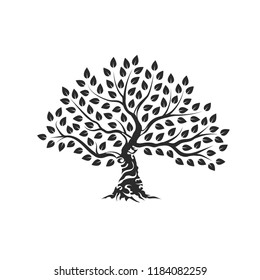 Organic natural and healthy olive tree silhouette logo isolated on white background. Modern vector green plant icon sign design artwork. Premium quality oil product logotype flat emblem illustration.