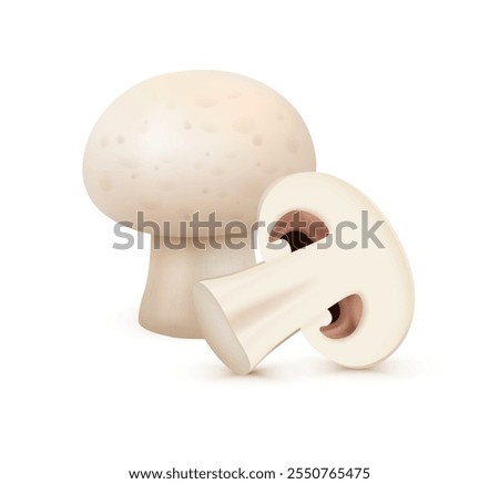 Organic natural ingredient for cooking. Vector isolated realistic icon of white champignon mushroom whole and cut in half. Dietary balance and nutrition, preparing meal from vegetables, side view
