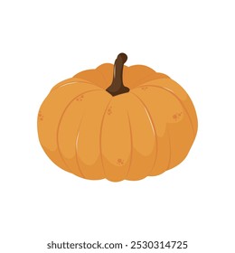 Organic natural orange pumpkin. Pumpkin season. Isolated illustration for card, postcard, cover. EPS 10