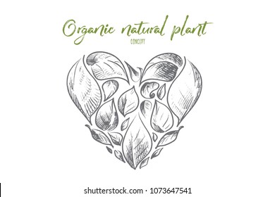 Organic natural plant concept. Hand drawn leaves in shape of heart. Symbol of green growing plants isolated vector illustration.
