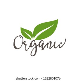 Organic natural product icon and elements vector