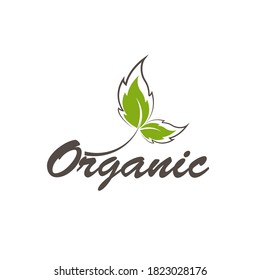 Organic natural product icon and elements vector