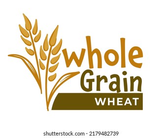 Organic and natural products and ingredients, isolated whole grain healthy food. Flour whole grain wheat, growth of agricultural meal. Ripe crops and farming, rural plant. Vector in flat style