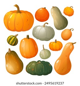 Organic natural pumpkin collection different types, forms, colors isolated on white background.