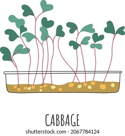 Brotes orgánicos y naturales, repollo microverde pozo aislado con plantas y hojas. Suelo de verduras y sabrosas verduras para la carta vegetariana. La dieta y la nutrición saludable. Vector de estilo plano