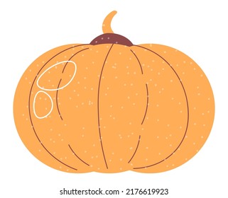 Organic and natural vegetable, isolated ripe pumpkin. Ecologically friendly veggies grown on farm. Vegetarian or vegan healthy dieting and menu. Plant for dishes and meals. Vector in flat style