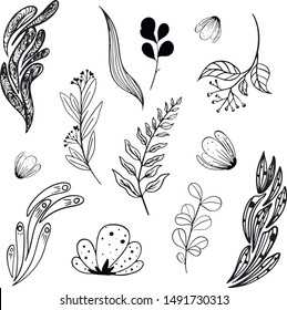 organic nature design element  logotype set label botanical collection