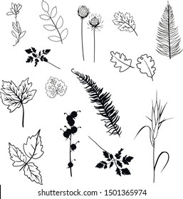 organic nature design element  logotype set label botanical collection