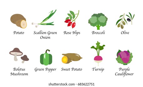 Organic nature health vegetable food spice isolated vector collection set