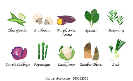 Organic nature health vegetable food spice isolated vector collection set