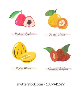 Organic nature healthy food fruit malay apple santol fruit pepino melon elaeagnus latifolia