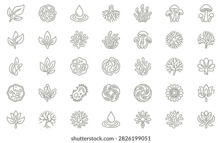 Organic Nature Icon Set Vector Line Art Plants Leaves Fungi Water Drop Microbe Roots Elements