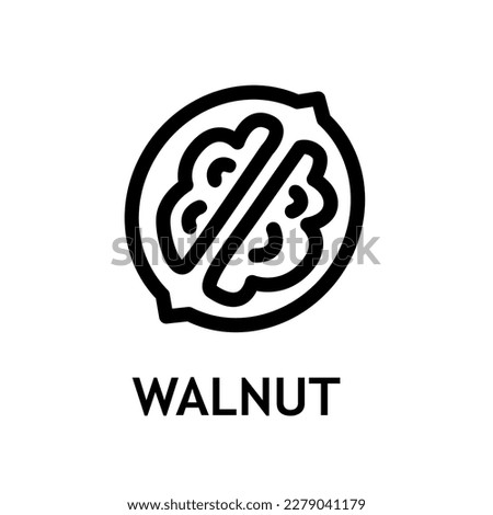 Organic nut line icon. Sign for mobile concept and web design. Peeled walnut outline vector snack. Symbol, logo illustration. Vector graphics