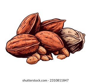 Organic nut snack hazelnut icon isolated