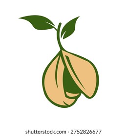 Organic nutmeg seed vector illustration with green leaves, featuring a stylized open shell and seed. Minimalist graphic design for spice branding, herbal medicine logos, aromatherapy, and culinary cooking ingredients.