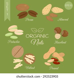 Organic nuts set. Pecan, almond, pistachio, hazelnut, walnut, peanut.