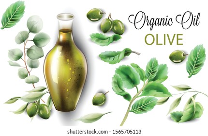 Organic olive oil in abstract shape glass. Composition with green mint leaves. Watercolor vector