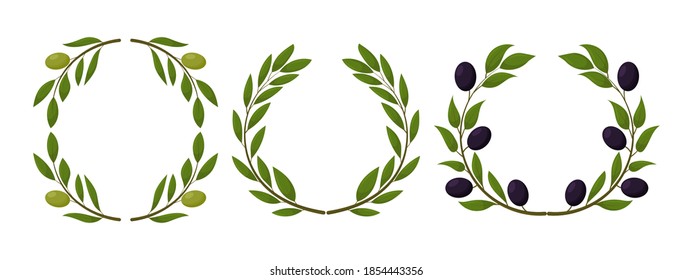 Productos de oliva orgánicos. Guirnalda de aceitunas negras. Vector de dibujos animados de productos orgánicos saludables. Ilustración del vector