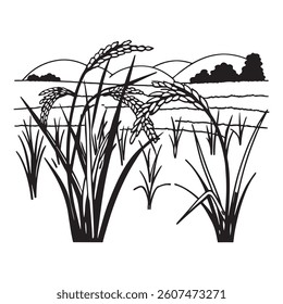 Organic paddy rice field seed