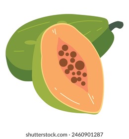 Organic papaya fruit vector illustration, whole and slices, cartoon papaw or paw paw fruits, buah pepaya or carica papaya icon isolated