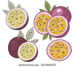 Organic Passion fruit print design. Passion Fruit set.