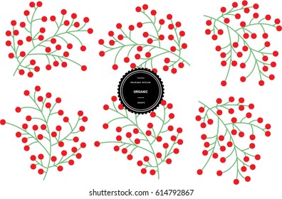 Organic pattern for background and stickers with logos. Common holly. Vector packaging design elements and templates.