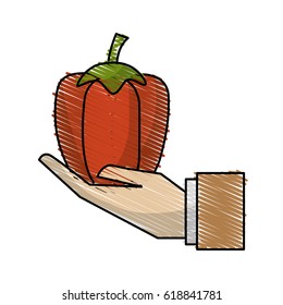 organic pepper vegetable in the hand icon