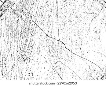 Organic pine tree cross-section grunge texture with cracks on monochrome sawn log background. Ideal for texture overlays, stencils and adding a raw, rustic feel to designs. Design element