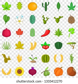 Organic plant icons set. Cartoon style of 36 organic plant vector icons for web for any design