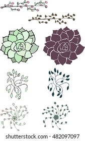 Organic Plant Vector Drawings