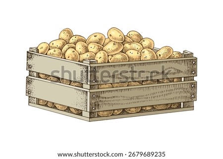 Organic potato crop in a box