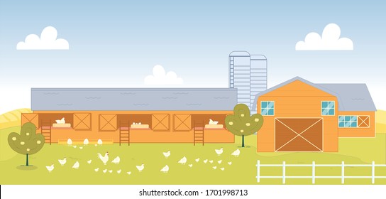 Organic Poultry Chicken Farm In Country Side. Chicken Graze On Lawn With Chick. Ladder Attached To Chicken Coop For Convenience Livestock. Near Other Farm Building Grow Thick Fruit Tree.