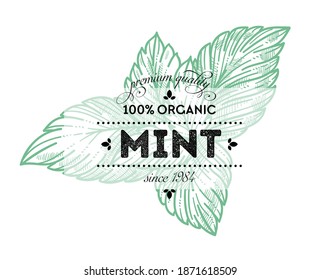 Organic product 100 percent quality, mint leaves retro label with inscription and herbs. Herbal tea or alternative medicine ingredient. Sketch outline label with inscription, vector in flat style