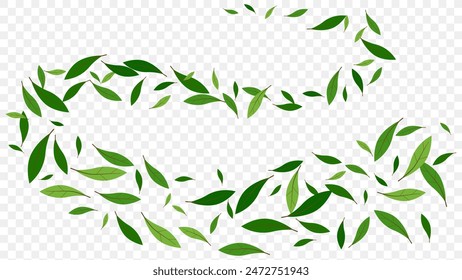 Organic product background with green leaf flying in air element. Herbal tea leaves, vegan