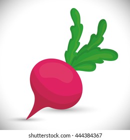 Organic product concept with vegetables icon design, vector illustration 10 eps graphic.