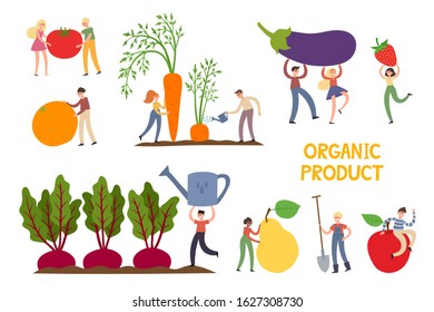 Organic production cartoon vector illustration with tiny people isolated on white. Vector set of people farmers in modern style with big fruits and vegetables.