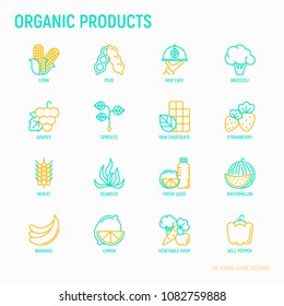 Organic products thin line icons set: corn, peas, raw cafe, broccoli, grapes, sprouts, seaweed, watermelon, bananas, fresh juice. strawberry. Modern vector illustration for vegetable shop.