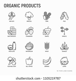 Organic products thin line icons set: corn, peas, raw cafe, broccoli, grapes, sprouts, seaweed, watermelon, bananas, fresh juice. strawberry. Modern vector illustration for vegetable shop.