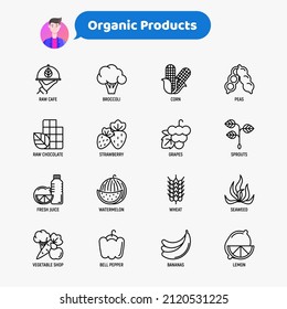 Organic products thin line icons set: corn, peas, raw cafe, broccoli, grapes, sprouts, seaweed, watermelon, bananas, fresh juice. strawberry. Modern vector illustration for vegetable shop.