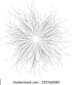 Organic Radial  Burst Of Lines Rays Elements Circular