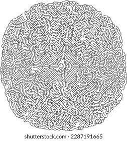 Organic Reaction Diffusion Turing pattern. Creative coding computational design. Relevant to the natural process that causes animal patterns, as well as to computer and social networks.