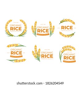 plantilla de diseño de logotipo de arroz orgánico