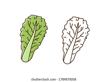 Organic romaine lettuce monochrome and colorful set vector flat illustration. Dietary antioxidant vegetable leaves icon in line art style. Eco fresh ingredient for healthy nutrition isolated