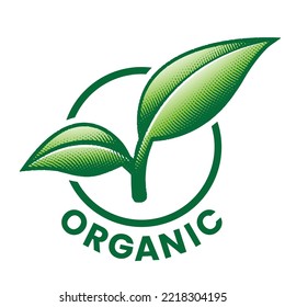 Icono redondo orgánico con 2 hojas verdes grabadas aisladas en fondo blanco