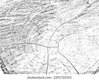 Organic rowan tree cross-section grunge texture with cracks on monochrome sawn log background. Ideal for adding a raw, rustic feel to designs. Design element