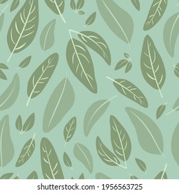 Organic sage leaf pattern, with illustrated leaves on a neutral light sage green, coloured backdrop. Soft, earthy, herb, botanical, natural, plant leaves seamless, vector background texture design.