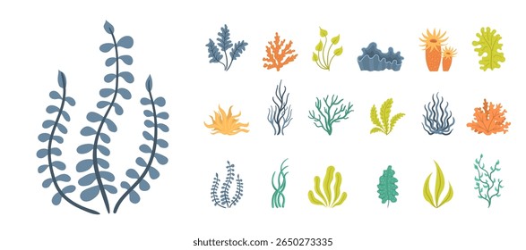 Orgânico mar grama e planta subaquática com tropical ervas recife coral oceano ilustração alimento fresco algas marinhas salada salada mergulho alga crua água natureza japonesa vida selvagem vegetariano agricultura ele
