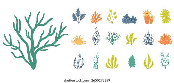 Orgânico mar grama e planta subaquática com tropical ervas recife coral oceano ilustração alimento fresco algas marinhas salada salada mergulho alga crua água natureza japonesa vida selvagem vegetariano agricultura ele