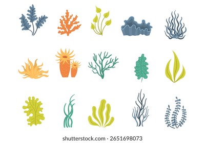 Organic sea grass and underwater plant with tropical herb reef coral ocean illustration fresh food healthy seaweed marine salad diving kelp raw aqua nature japanese wildlife vegetarian agriculture ele